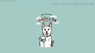 Dog care house　ふみちゃん家